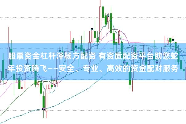 股票资金杠杆泽杨方配资 有资质配资平台助您蛇年投资腾飞——安全、专业、高效的资金配对服务