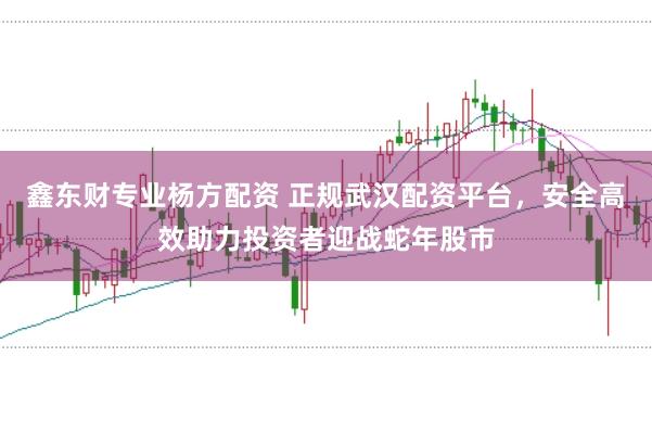 鑫东财专业杨方配资 正规武汉配资平台，安全高效助力投资者迎战蛇年股市