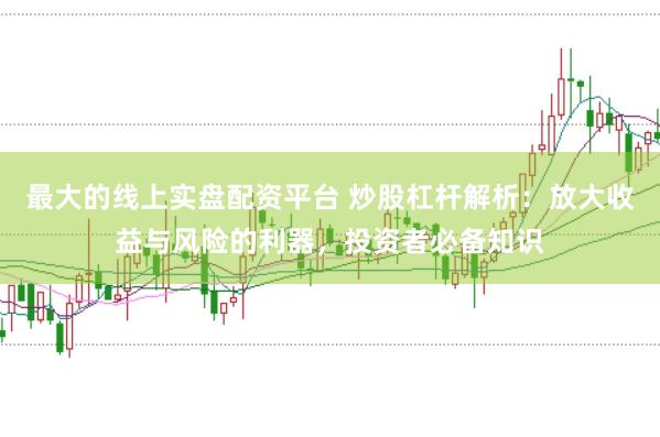 最大的线上实盘配资平台 炒股杠杆解析：放大收益与风险的利器，投资者必备知识