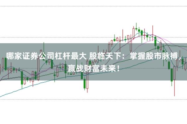 哪家证券公司杠杆最大 股临天下：掌握股市脉搏，赢战财富未来！