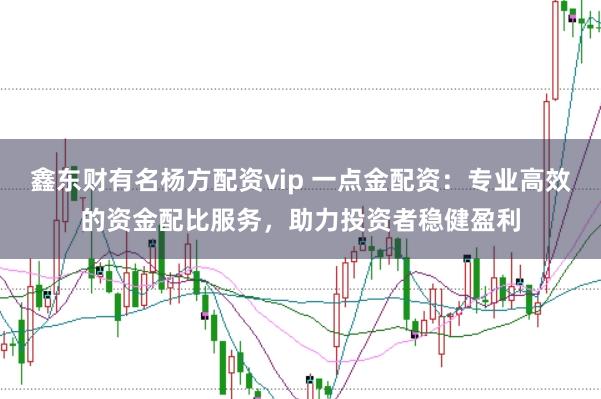 鑫东财有名杨方配资vip 一点金配资：专业高效的资金配比服务，助力投资者稳健盈利