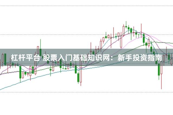 杠杆平台 股票入门基础知识网：新手投资指南