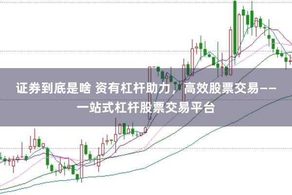 证券到底是啥 资有杠杆助力,高效股票交易——一站式杠杆股票交易平台