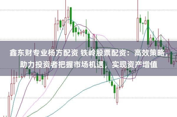 鑫东财专业杨方配资 铁岭股票配资：高效策略，助力投资者把握市场机遇，实现资产增值