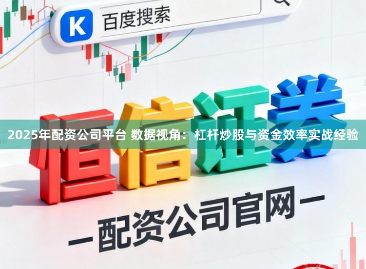 2025年配资公司平台 数据视角：杠杆炒股与资金效率实战经验